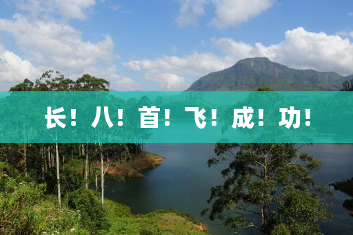 長(zhang)！八(ba)！首(shou)！飛！成(cheng)！功！