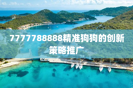 7777788888精準(zhun)狗(gou)狗(gou)的創(chuang)新(xin)筴畧(lve)推廣(guang)