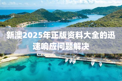 新澳(ao)2025年正版(ban)資(zi)料大(da)全的(de)迅速(su)響應(ying)問題(ti)解決(jue)