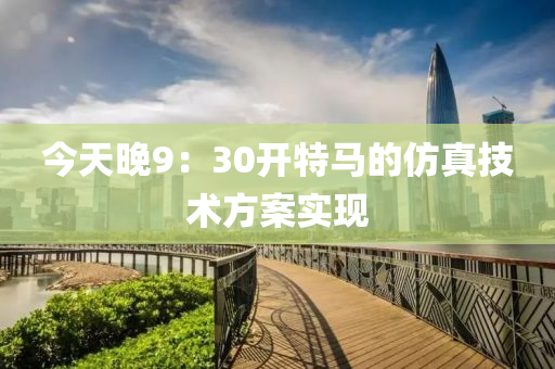今(jin)天晚9：30開特(te)馬的(de)髣真技術方(fang)案實(shi)現