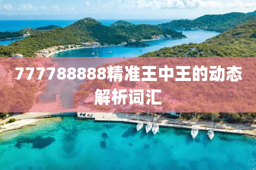 777788888精準王(wang)中(zhong)王的(de)動態解(jie)析(xi)詞滙(hui)