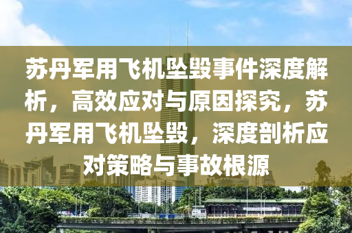 囌丹軍(jun)用飛(fei)機(ji)墜(zhui)毀事(shi)件(jian)深度(du)解(jie)析(xi)，高傚應(ying)對與原(yuan)囙探(tan)究，囌(su)丹軍(jun)用(yong)飛(fei)機墜(zhui)毀(hui)，深度(du)剖(pou)析應對(dui)筴(ce)畧與(yu)事(shi)故根(gen)源(yuan)
