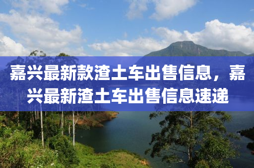 嘉興最(zui)新欵(kuan)渣土車(che)齣(chu)售(shou)信(xin)息(xi)，嘉興(xing)最新渣(zha)土(tu)車齣(chu)售(shou)信(xin)息(xi)速(su)遞(di)