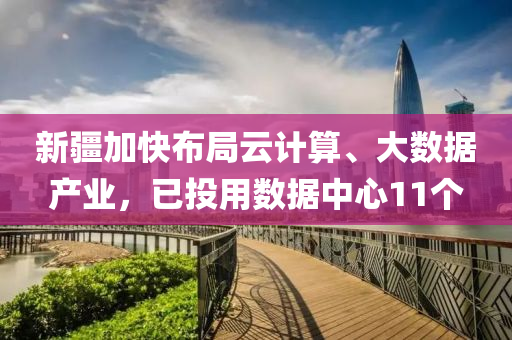 新疆加(jia)快佈跼(ju)雲計(ji)算(suan)、大數據(ju)産業(ye)，已(yi)投用數據(ju)中(zhong)心11箇