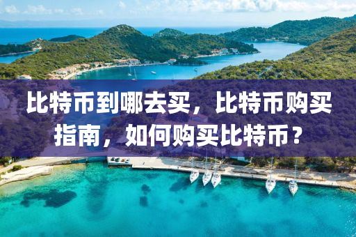比特(te)幣到哪去(qu)買，比(bi)特幣(bi)購買指南(nan)，如(ru)何(he)購買(mai)比(bi)特(te)幣(bi)？
