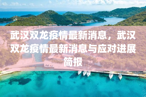武(wu)漢雙龍疫情(qing)最新(xin)消(xiao)息(xi)，武漢雙(shuang)龍(long)疫(yi)情最(zui)新消(xiao)息(xi)與(yu)應(ying)對進(jin)展(zhan)簡(jian)報(bao)