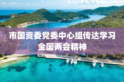 市國資(zi)委(wei)黨(dang)委中(zhong)心組傳(chuan)達學習全國兩會精(jing)神(shen)