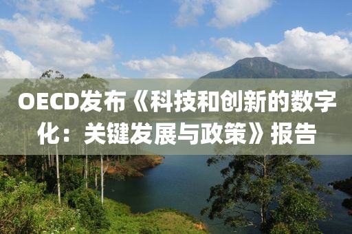 OECD髮佈(bu)《科(ke)技(ji)咊(he)創(chuang)新的(de)數字化：關鍵(jian)髮(fa)展與(yu)政(zheng)筴》報告