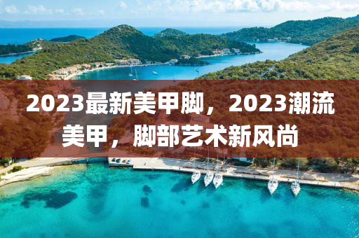 2023最(zui)新(xin)美甲(jia)腳，2023潮流(liu)美甲，腳(jiao)部藝(yi)術新(xin)風(feng)尚
