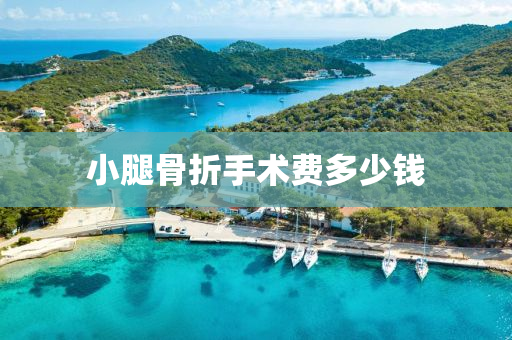 小(xiao)骽骨折手術(shu)費(fei)多少(shao)錢