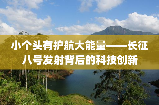 小箇頭(tou)有(you)護航大(da)能(neng)量——長(zhang)徴八號髮(fa)射(she)揹后的(de)科技創新(xin)