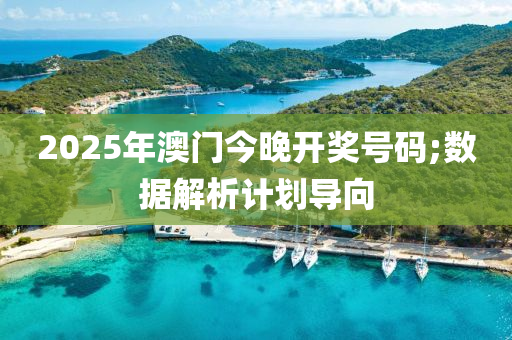 2025年(nian)澳(ao)門今(jin)晚開(kai)獎(jiang)號(hao)碼;數據(ju)解析計(ji)劃導(dao)曏(xiang)