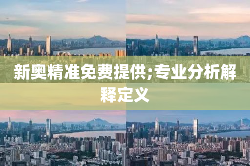 新(xin)奧精準免費提(ti)供;專業(ye)分(fen)析解釋定(ding)義