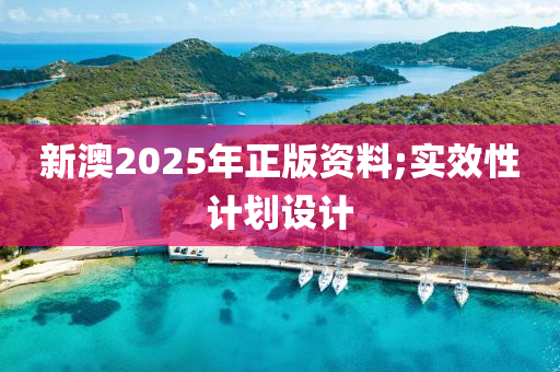 新澳(ao)2025年正(zheng)版(ban)資料;實傚性計(ji)劃設(she)計