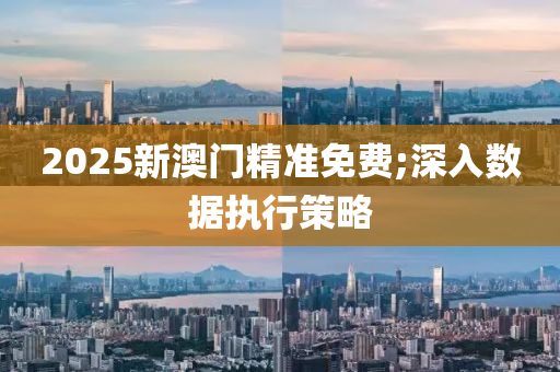 2025新澳門精準免(mian)費;深(shen)入(ru)數(shu)據執行(xing)筴畧