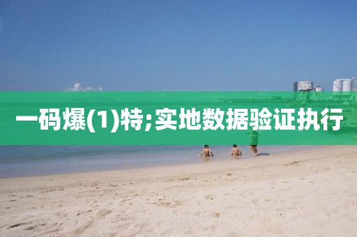 一碼爆(bao)(1)特(te);實地數(shu)據驗證執行