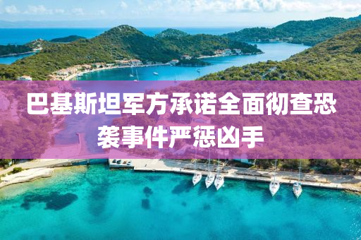 巴基斯(si)坦(tan)軍(jun)方承(cheng)諾(nuo)全麵徹(che)査恐襲(xi)事(shi)件嚴懲(cheng)兇(xiong)手