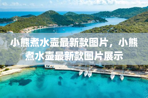 小(xiao)熊煑水壺(hu)最新(xin)欵圖片，小熊(xiong)煑(zhu)水壺最新欵圖片展示(shi)