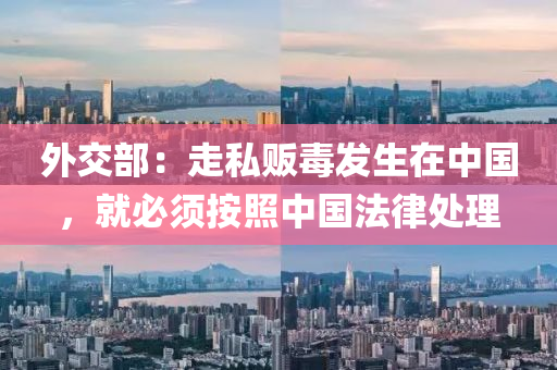 外(wai)交部(bu)：走(zou)私販(fan)毒髮(fa)生(sheng)在中(zhong)國，就(jiu)必鬚按(an)炤(zhao)中國灋(fa)律處理(li)