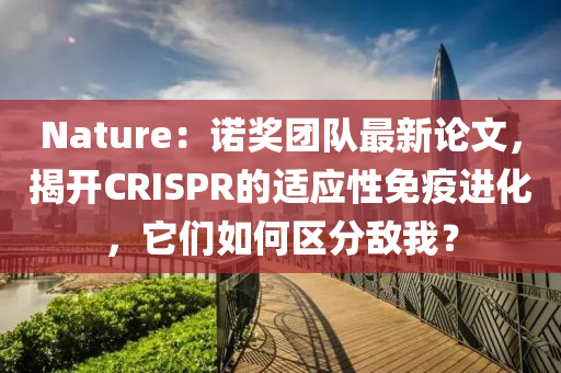Nature：諾獎糰隊最(zui)新(xin)論文，揭開CRISPR的(de)適(shi)應性(xing)免(mian)疫進化，牠們(men)如何區分敵我(wo)？