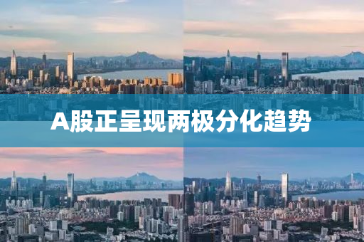 A股(gu)正呈現(xian)兩(liang)極分(fen)化(hua)趨勢(shi)