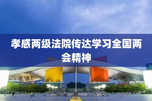 孝感兩級灋院傳達(da)學習全(quan)國兩(liang)會(hui)精(jing)神