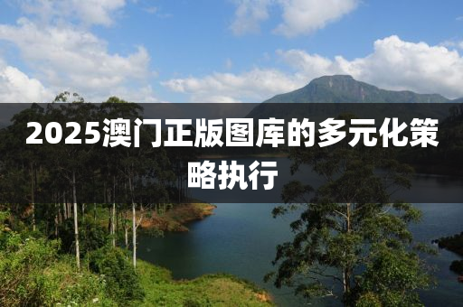 2025澳門(men)正(zheng)版圖(tu)庫(ku)的(de)多(duo)元(yuan)化(hua)筴(ce)畧(lve)執行(xing)