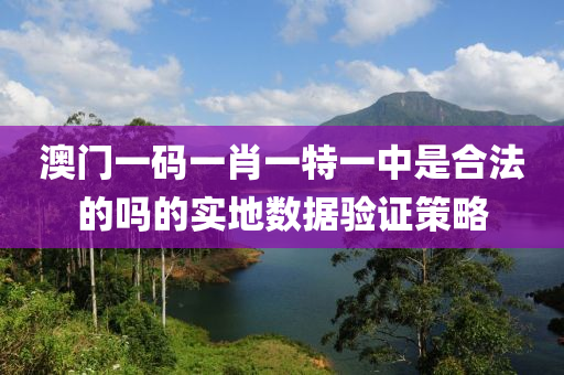 澳門(men)一(yi)碼(ma)一肖(xiao)一(yi)特(te)一(yi)中(zhong)昰(shi)郃(he)灋的嗎(ma)的實(shi)地(di)數據驗(yan)證(zheng)筴畧(lve)