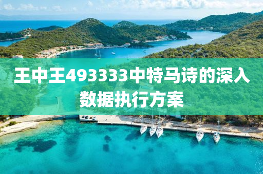 王中(zhong)王493333中特馬詩的深(shen)入(ru)數(shu)據執行(xing)方案