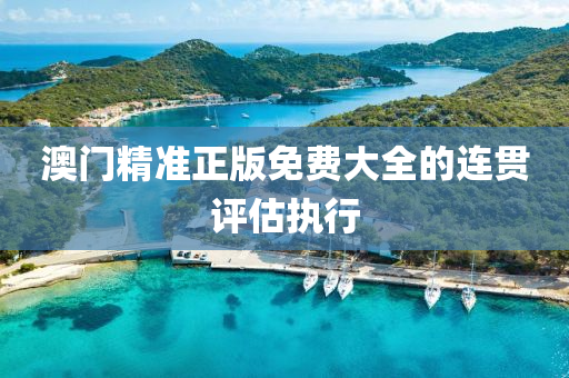 澳(ao)門(men)精準正版(ban)免(mian)費大全的連貫(guan)評(ping)估執(zhi)行