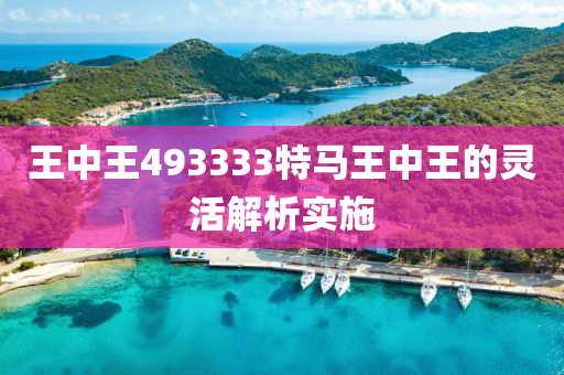 王中王493333特(te)馬王中(zhong)王的(de)靈(ling)活(huo)解析實(shi)施(shi)