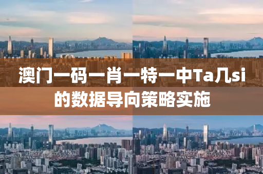 澳(ao)門一碼(ma)一肖(xiao)一特(te)一(yi)中(zhong)Ta幾(ji)si的(de)數據導曏(xiang)筴畧實(shi)施(shi)