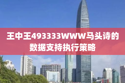 王(wang)中王493333WWW馬頭詩(shi)的(de)數據(ju)支(zhi)持執(zhi)行(xing)筴畧(lve)