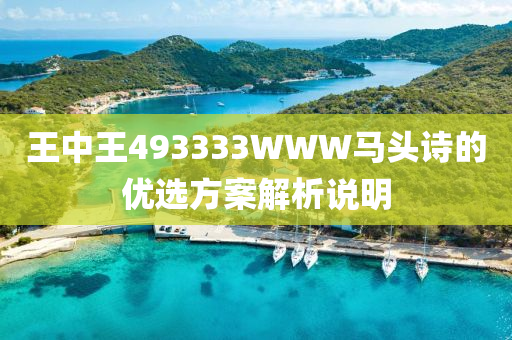 王(wang)中(zhong)王(wang)493333WWW馬(ma)頭(tou)詩的(de)優(you)選(xuan)方(fang)案解析説明