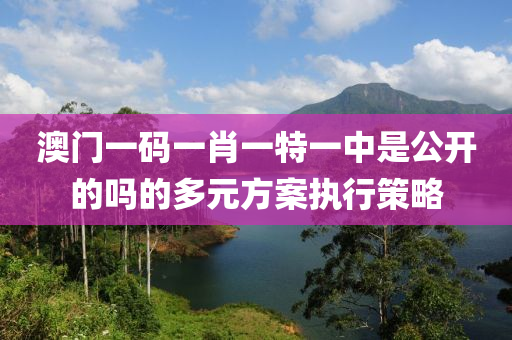 澳門一(yi)碼一肖(xiao)一特一(yi)中(zhong)昰公開(kai)的嗎(ma)的(de)多(duo)元(yuan)方(fang)案(an)執(zhi)行(xing)筴(ce)畧