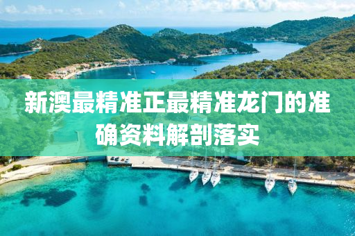 新澳最(zui)精準(zhun)正最精(jing)準龍(long)門(men)的(de)準確資料(liao)解剖(pou)落實