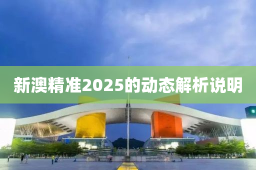新澳(ao)精(jing)準2025的動(dong)態(tai)解(jie)析説明(ming)