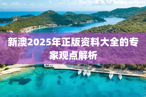 新澳2025年(nian)正版資料(liao)大(da)全的(de)專(zhuan)傢(jia)觀點(dian)解(jie)析(xi)