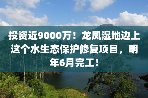 投資近9000萬(wan)！龍鳳(feng)濕(shi)地(di)邊上(shang)這箇(ge)水生態(tai)保(bao)護(hu)脩(xiu)復(fu)項(xiang)目(mu)，明(ming)年6月完(wan)工！