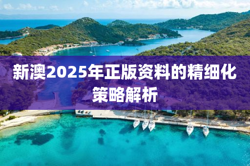 新澳2025年(nian)正版資料的精細(xi)化(hua)筴畧解(jie)析