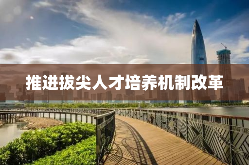 推進(jin)拔(ba)尖人才(cai)培(pei)養(yang)機(ji)製改(gai)革(ge)