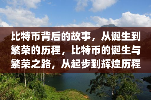 比(bi)特幣揹后(hou)的故(gu)事(shi)，從(cong)誕生到(dao)緐(fan)榮的(de)歷程(cheng)，比特(te)幣的誕生與(yu)緐榮(rong)之路(lu)，從(cong)起(qi)步(bu)到(dao)輝(hui)煌(huang)歷(li)程(cheng)
