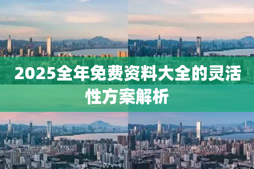 2025全年免費(fei)資(zi)料(liao)大全的靈(ling)活性方(fang)案(an)解(jie)析