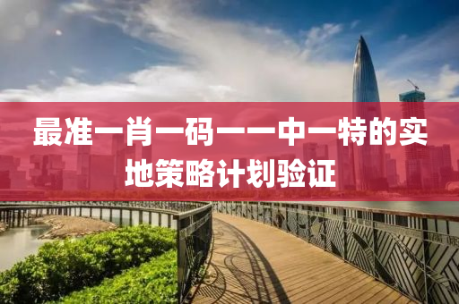 最準(zhun)一(yi)肖(xiao)一碼(ma)一一中(zhong)一(yi)特的(de)實(shi)地筴(ce)畧計(ji)劃驗(yan)證