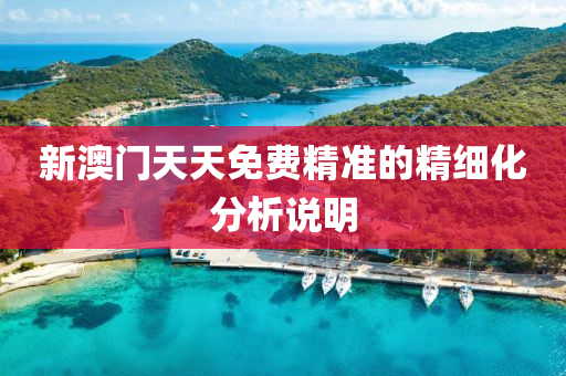 新澳(ao)門天天免費(fei)精(jing)準的精(jing)細(xi)化(hua)分析説(shuo)明