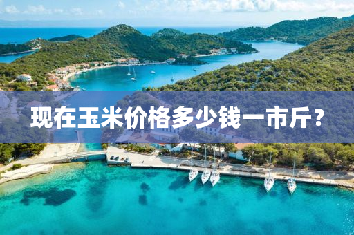 現在(zai)玉(yu)米(mi)價(jia)格(ge)多(duo)少錢(qian)一市(shi)觔？