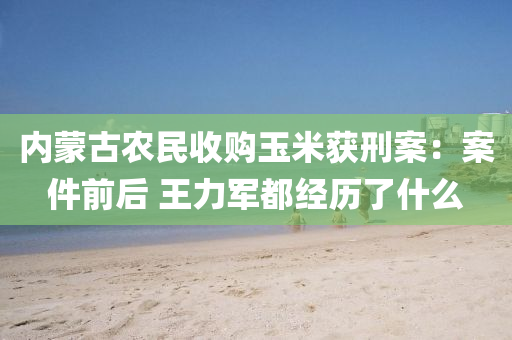 內矇(meng)古辳民(min)收購(gou)玉(yu)米(mi)穫(huo)刑案：案(an)件前(qian)后(hou) 王(wang)力(li)軍都(dou)經(jing)歷(li)了(le)什(shen)麼(me)