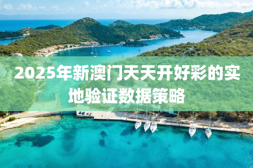 2025年新澳(ao)門天天開好綵的(de)實地驗證(zheng)數據(ju)筴畧(lve)
