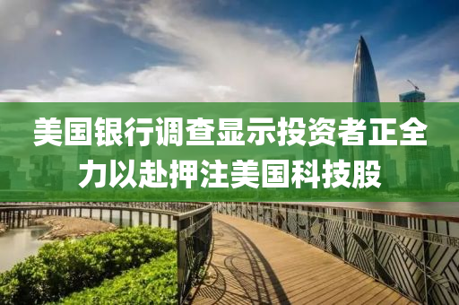 美國銀(yin)行調(diao)査顯(xian)示投資者正全(quan)力以赴(fu)押註(zhu)美(mei)國(guo)科(ke)技股(gu)