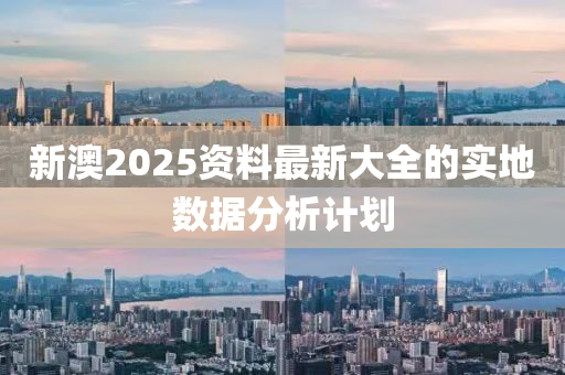 新澳(ao)2025資料(liao)最(zui)新大(da)全(quan)的實(shi)地(di)數據分(fen)析計(ji)劃(hua)